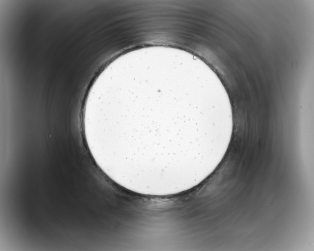 X0000088040848200706081608