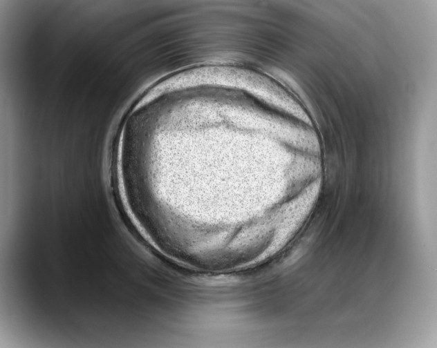 X0000088040851200706081608