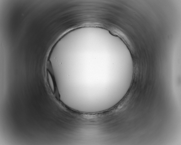 X0000088040852200706081608