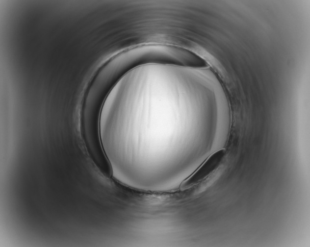 X0000088040854200706081608