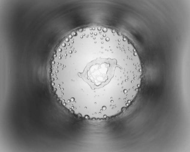 X0000088040856200706081608