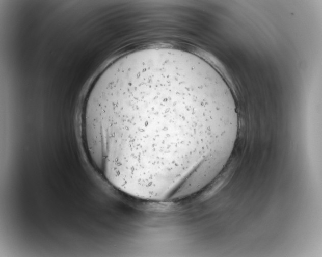 X0000088040859200706081608