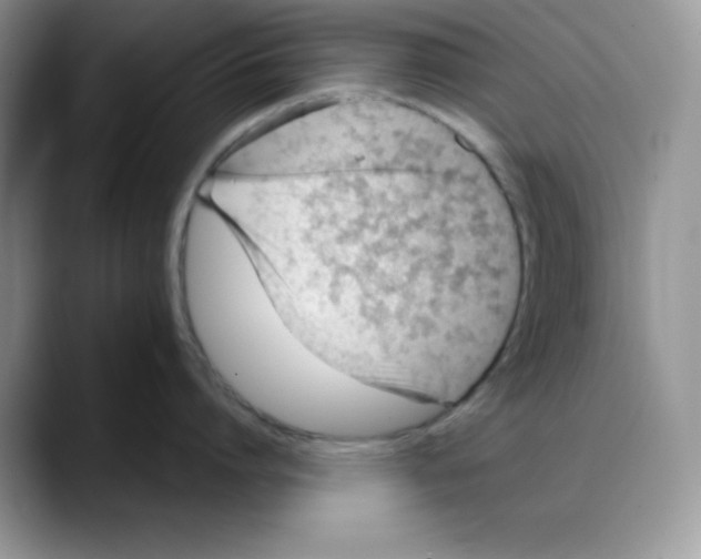 X0000088040864200706081608