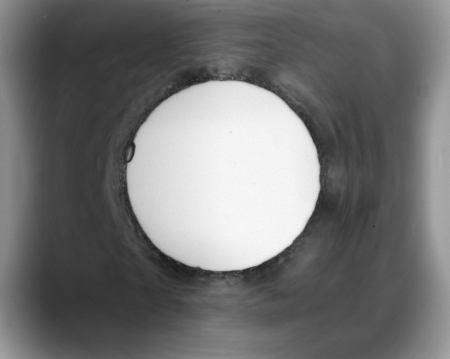 X0000088040865200706081607