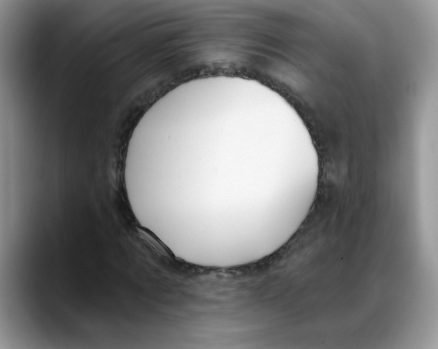 X0000088040869200706081607