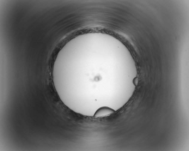 X0000088040871200706081607