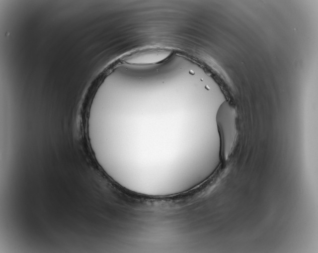 X0000088040876200706081607