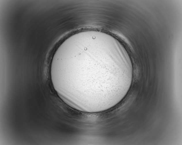 X0000088040878200706081607