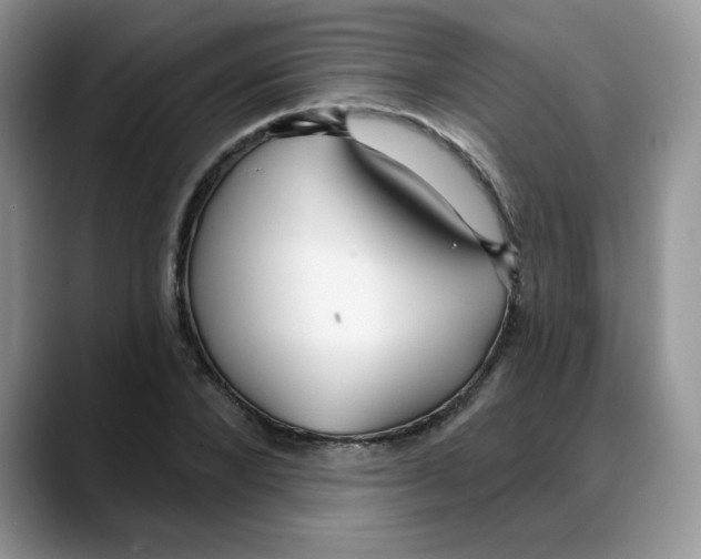 X0000088040880200706081607