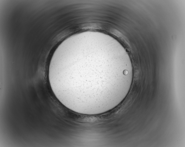 X0000088040882200706081607