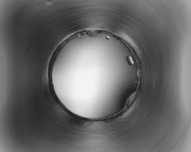 X0000088040884200706081607