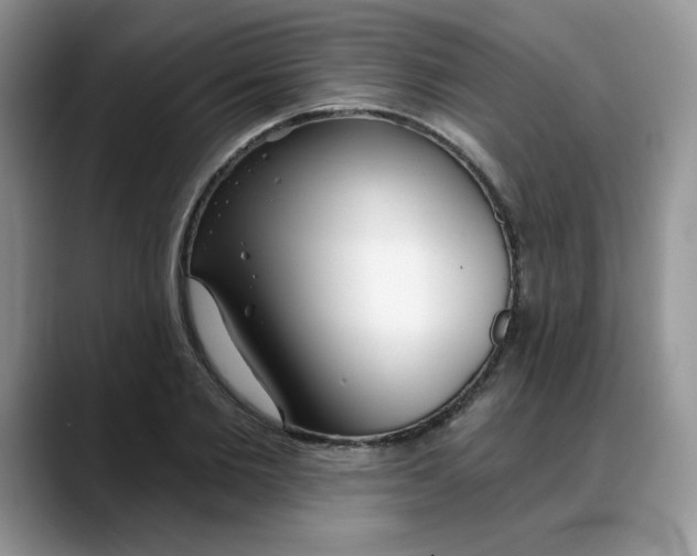 X0000088040885200706081607