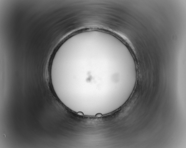 X0000088040887200706081607