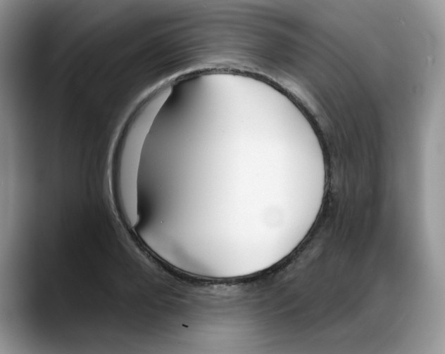 X0000088040888200706081607