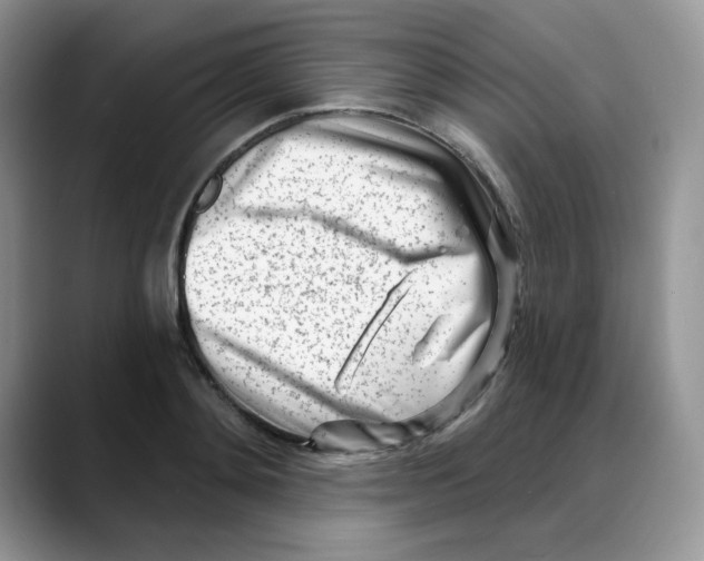 X0000088040892200706081607