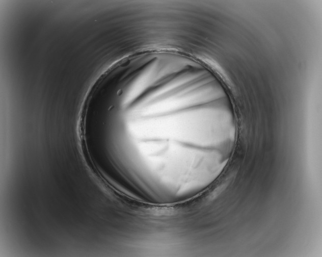 X0000088040893200706081607