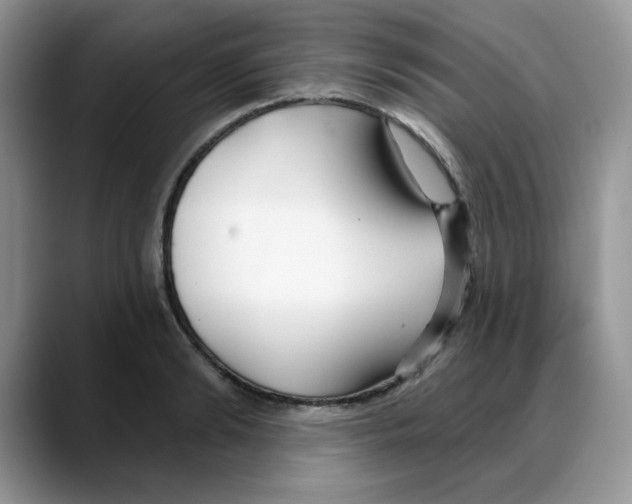 X0000088040894200706081607