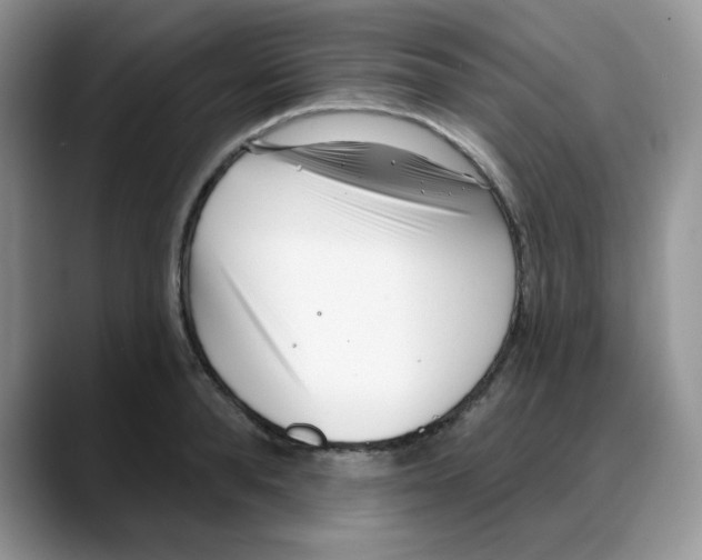 X0000088040896200706081607