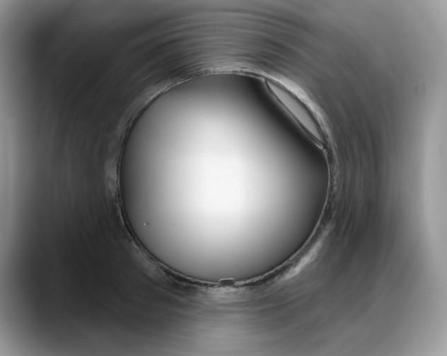 X0000088040897200706081607