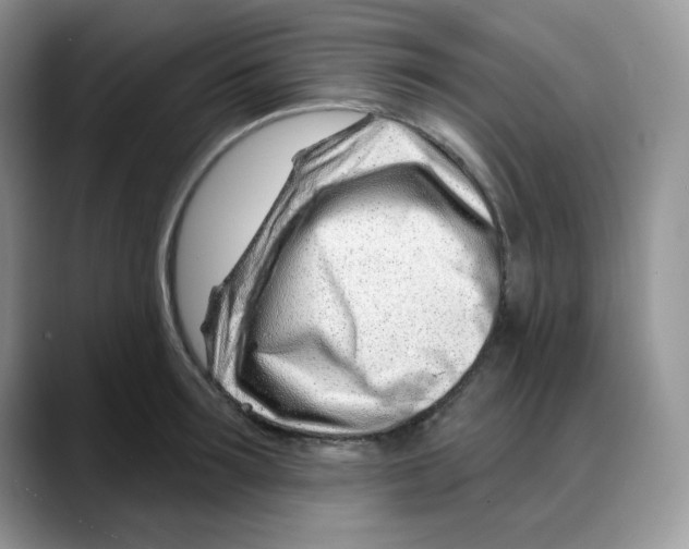 X0000088040899200706081607