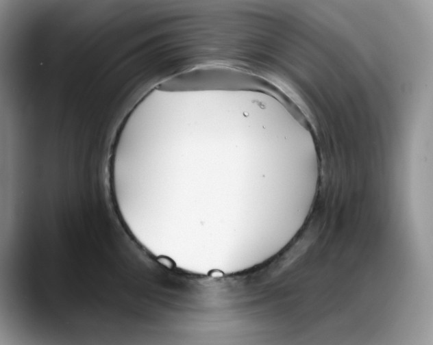 X0000088040906200706081607