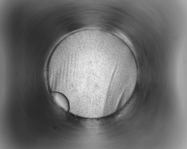 X0000088040907200706081607