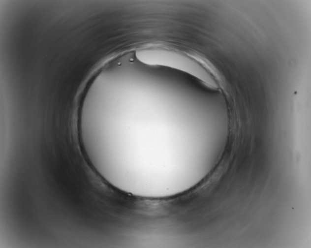 X0000088040910200706081607