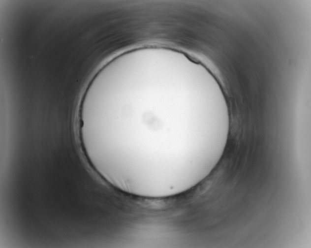 X0000088040911200706081607