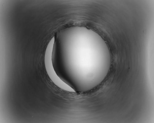 X0000088040914200706081606