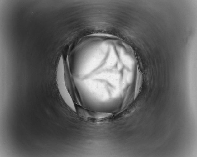 X0000088040916200706081606