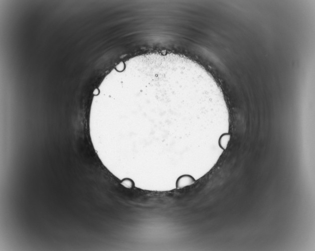 X0000088040918200706081606