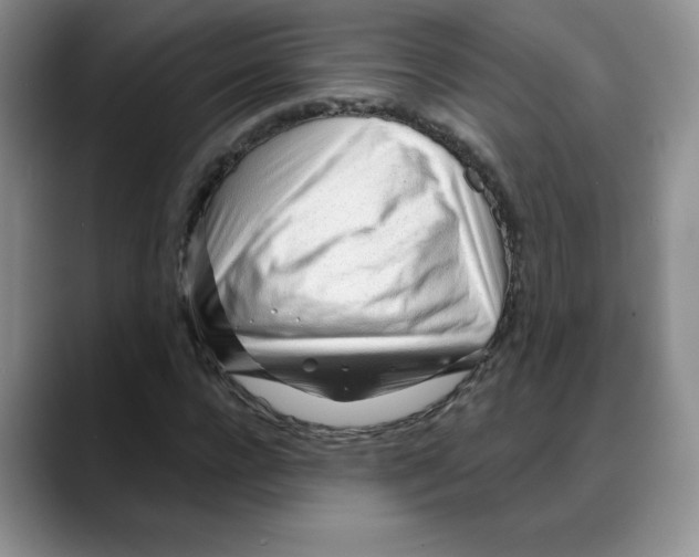 X0000088040920200706081606