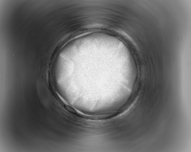 X0000088040921200706081606