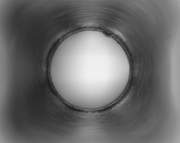 X0000088040922200706081606