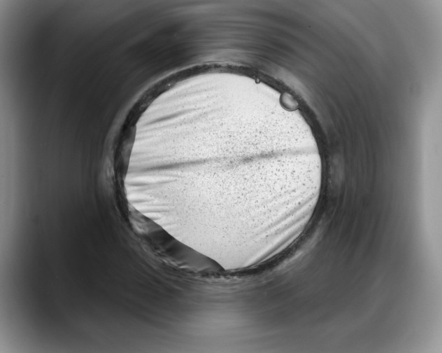 X0000088040923200706081606