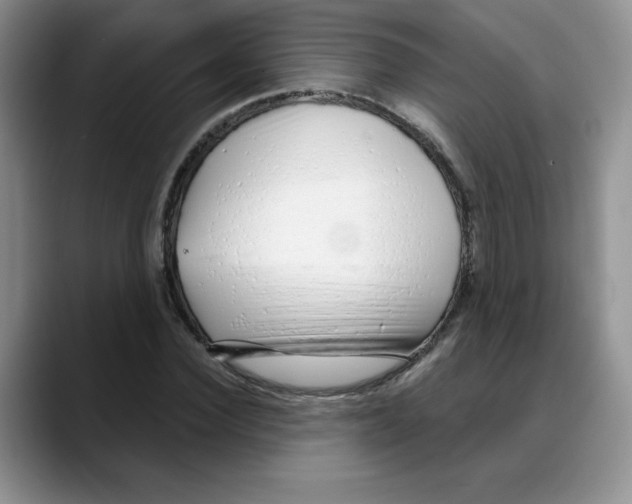 X0000088040924200706081606