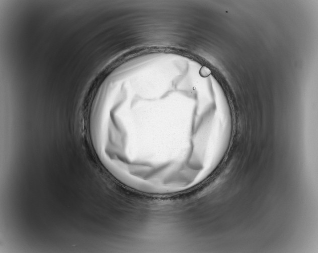 X0000088040925200706081606