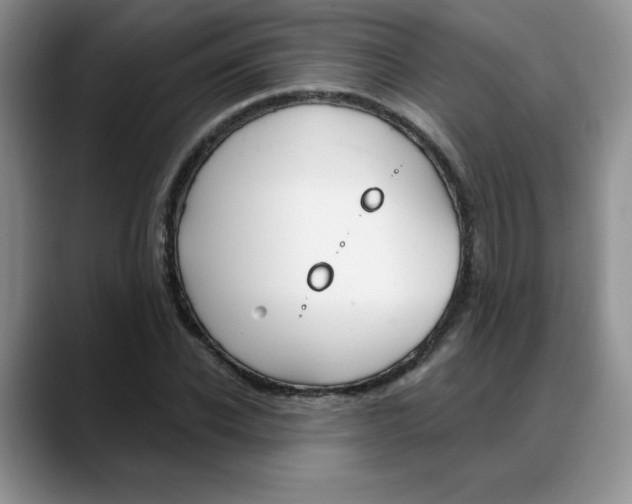 X0000088040926200706081606