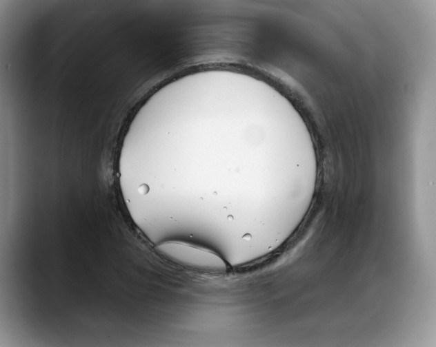 X0000088040929200706081606