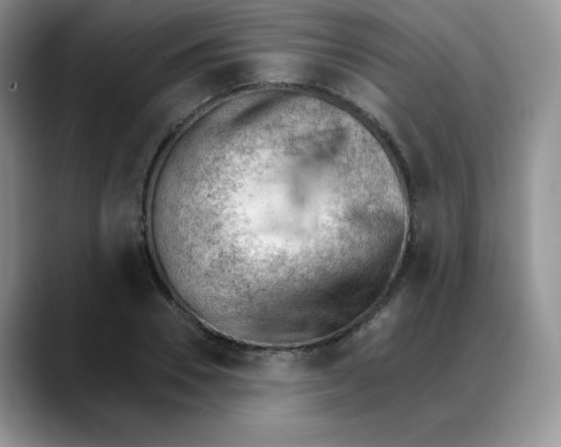 X0000088040930200706081606