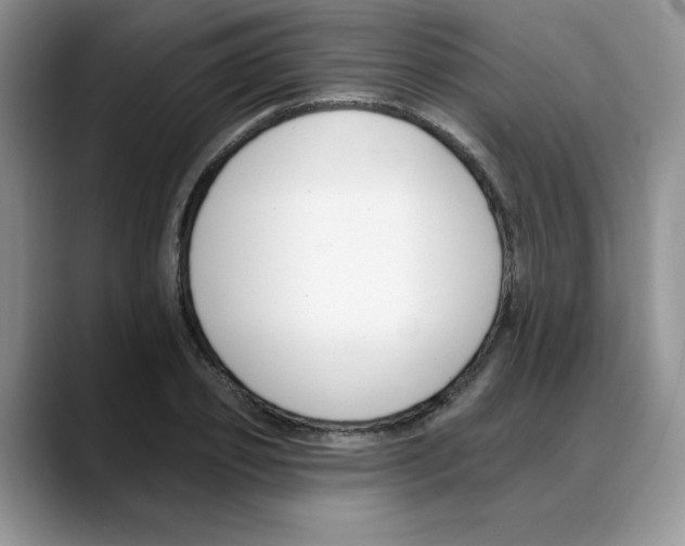 X0000088040933200706081606