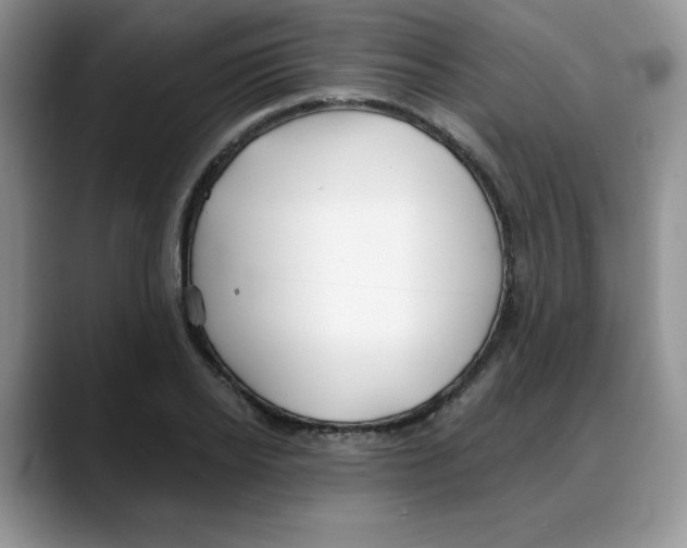 X0000088040934200706081606