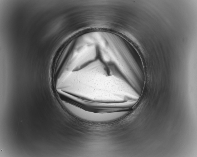 X0000088040935200706081606