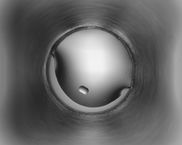 X0000088040936200706081606