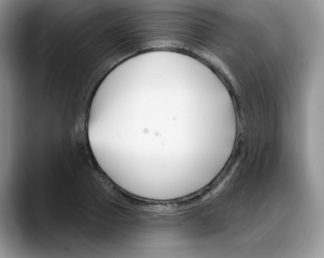 X0000088040937200706081606