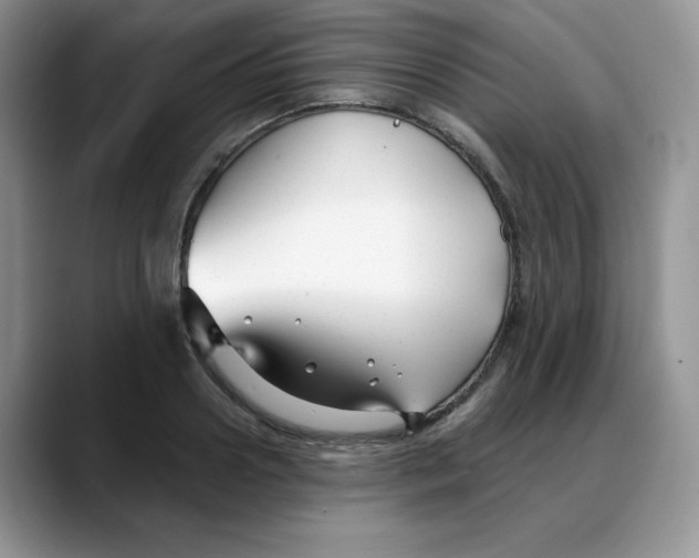 X0000088040938200706081606