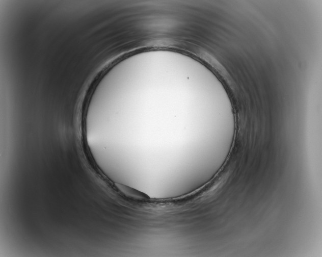 X0000088040939200706081606