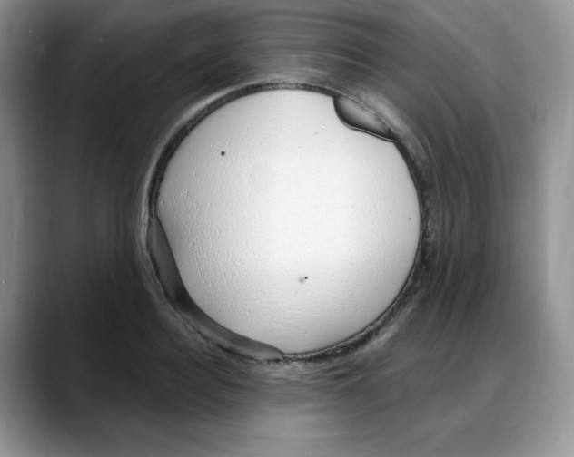 X0000088040940200706081606