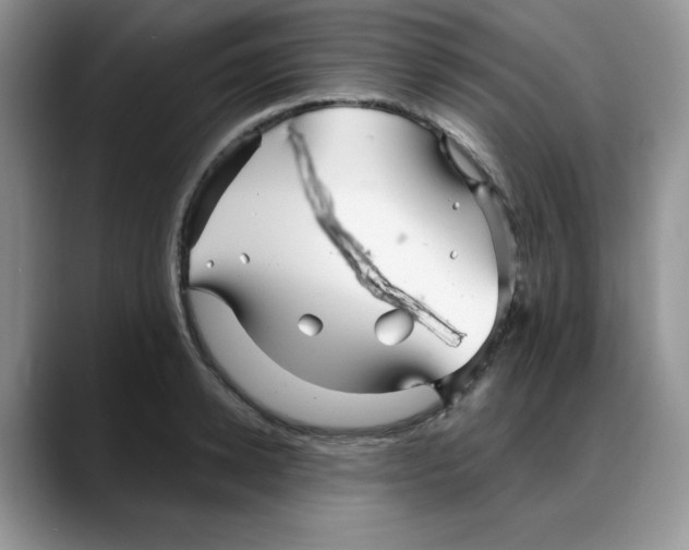 X0000088040942200706081606