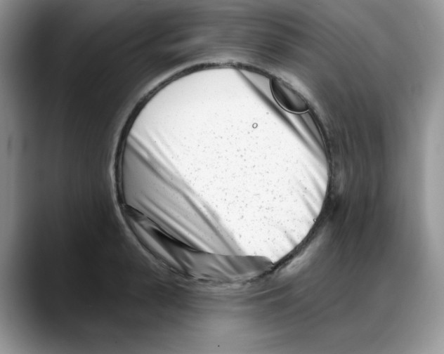 X0000088040943200706081606